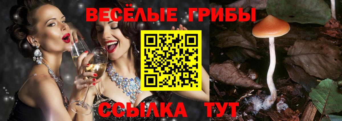 Псилоцибиновые грибы Magic Shrooms  Вход с VPN  Бирск 